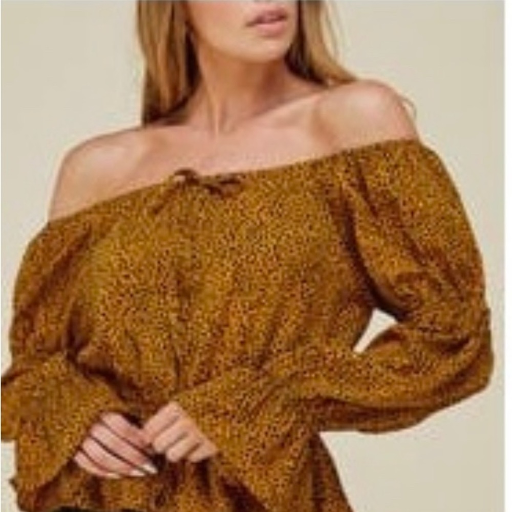 Leopard Animal Printed Off Shoulder Top - Camel - Picture 1 of 4